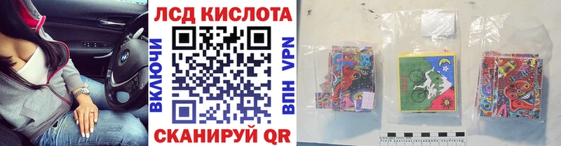 Купить где Болгар Марки N-bome 1500мкг