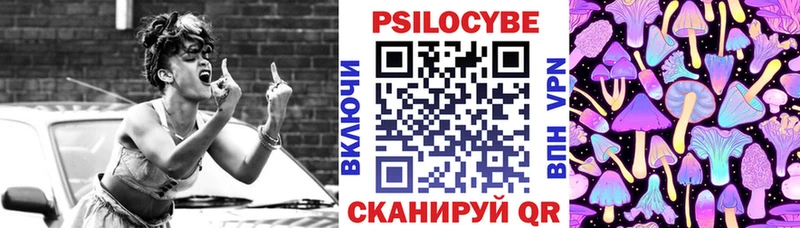 Купить где  Болгар  Галлюциногенные грибы GOLDEN TEACHER 